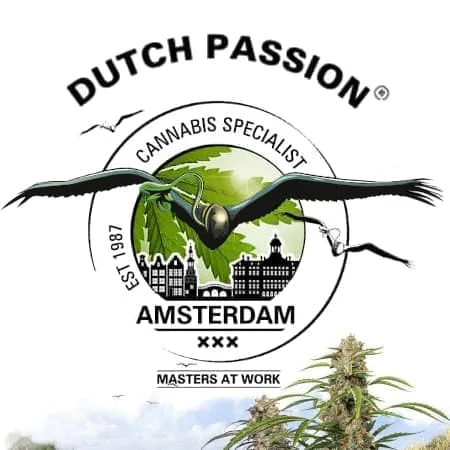 dutch-passion-seeds-cannabis-seed-hanfsamen-weed